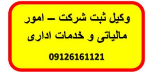 وکیل ثبت